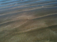 Shimmering Sand 4