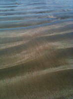 Shimmering Sand 5