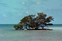 Peaceful Place